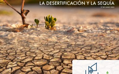 Una amenaza mundial; Desertificación y sequía