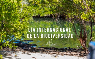Celebrando la Biodiversidad: Un Homenaje a la Maravilla de la Vida en la Tierra