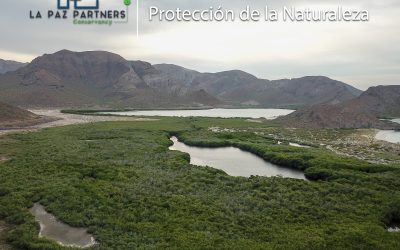 Día mundial de la protección de la naturaleza